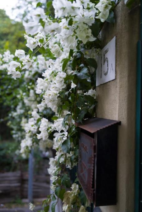 Genova Garden, Vicino Al Gaslini E Boccadasse 아파트 외부 사진